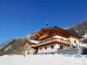 Rainerhof Apartment 4 Dorfgastein